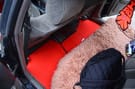 Ворсовые коврики на Toyota Mark II (100) 1996 - 2001 в Курске