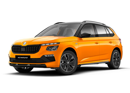 Ворсовые коврики на Skoda Kamiq (Европа) 2019 - 2026 в Курске Ворсовые коврики на Skoda Kamiq (Европа) 2019 - 2026 в Курске