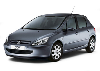 EVA коврики на Peugeot 307 2001 - 2008 в Курске