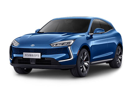 Ворсовые коврики на Seres SF5 2019&nbsp;-&nbsp;2022 в Курске