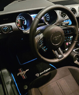 Ворсовые коврики на Ford Mustang VI 2013 - 2023 в Курске Ворсовые коврики на Ford Mustang VI 2013 - 2023 в Курске